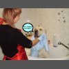 Обещали косточку!