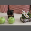 Нашим деткам 1 месяц!